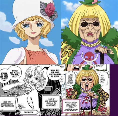 buckingham stussy|One Piece chapter 1072: Stussys mysterious knowledge